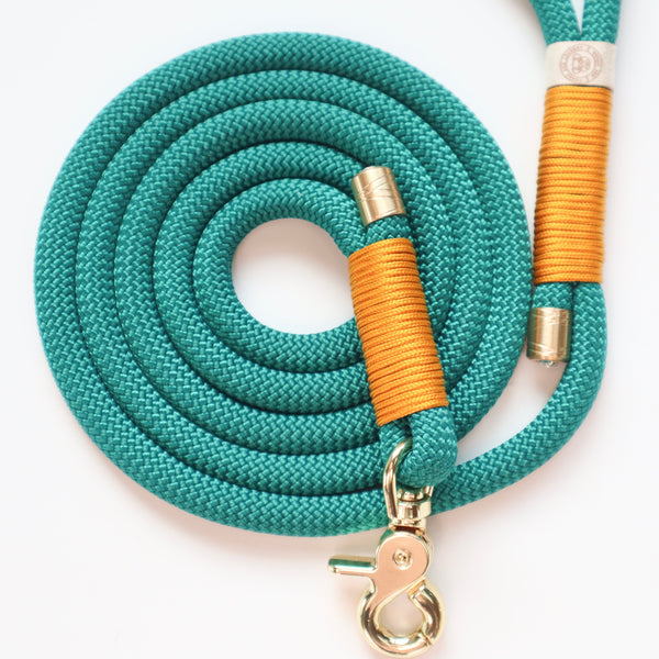 Design Your Own Leash